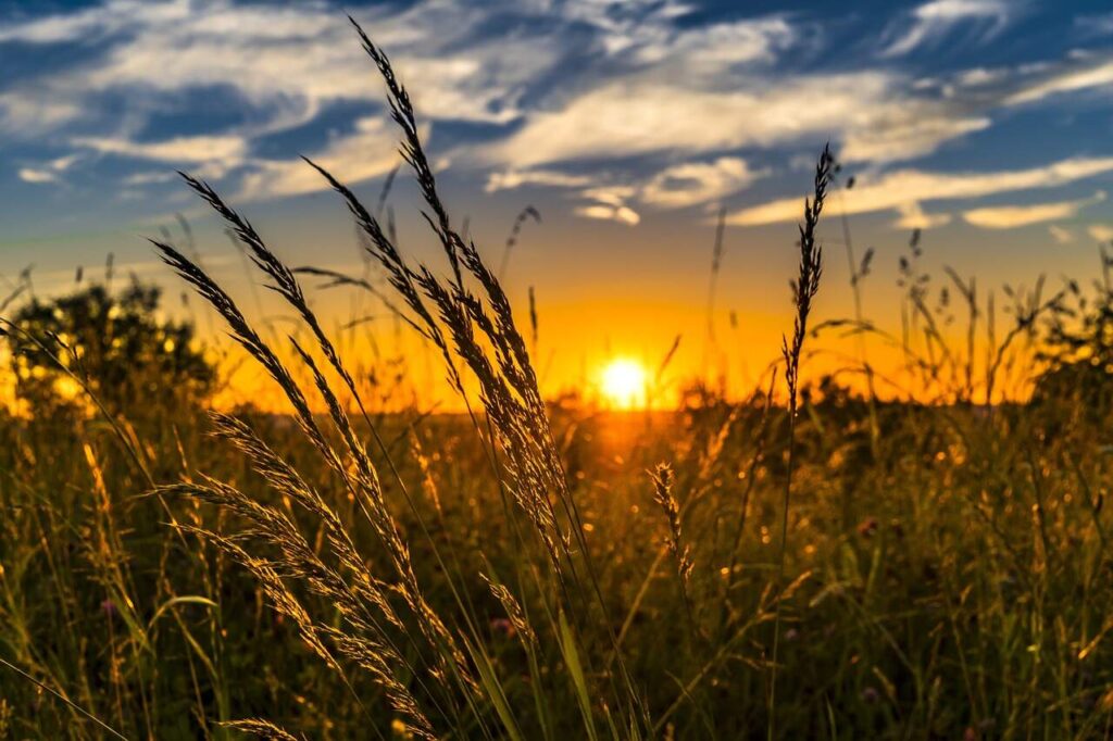 1st Annual Crossroads Conference for Agriculture to be Held at Autry Technology Center