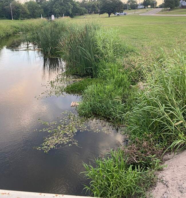 NOC and OSU Partner up to Rejuvenate NOC Enid Campus Pond