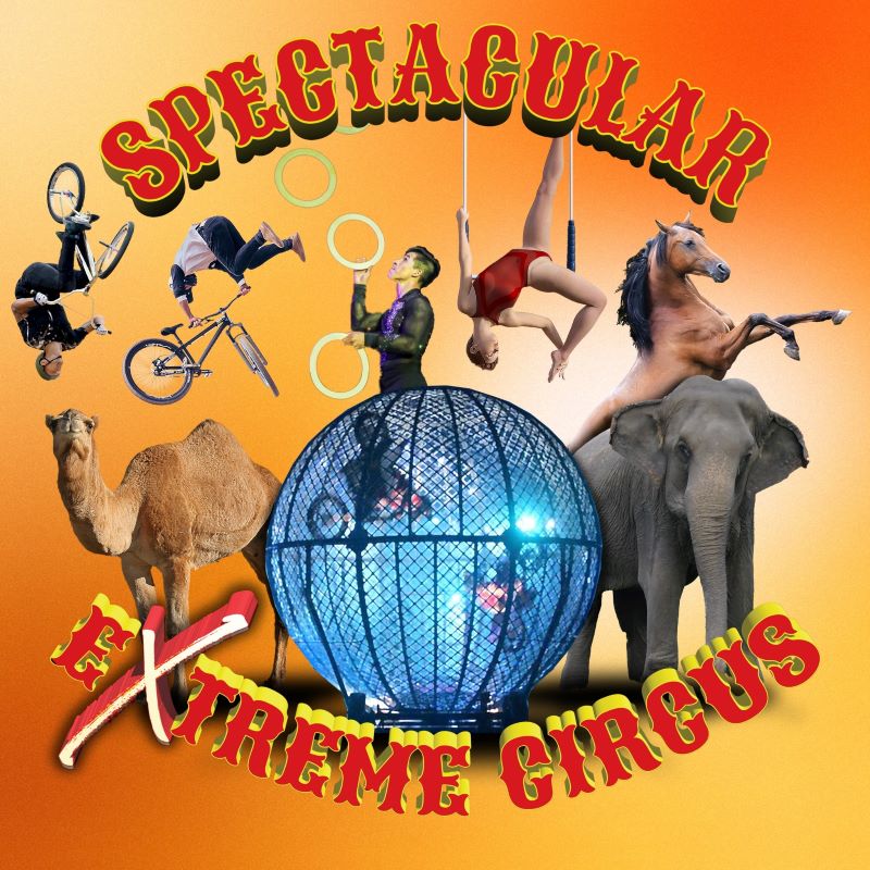 Carden International Circus’ Lucky Malatsi talks Circus Performing, Enid Show