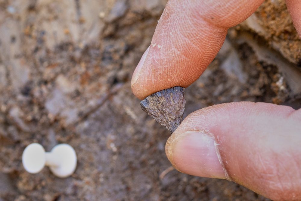 Study finds humans were making fire 400,000 years ago, far earlier than once thought