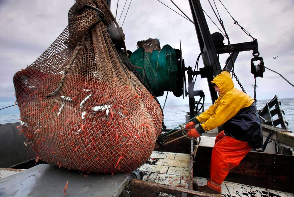 New England’s shrimp fishery to shut down for the long haul after years of decline