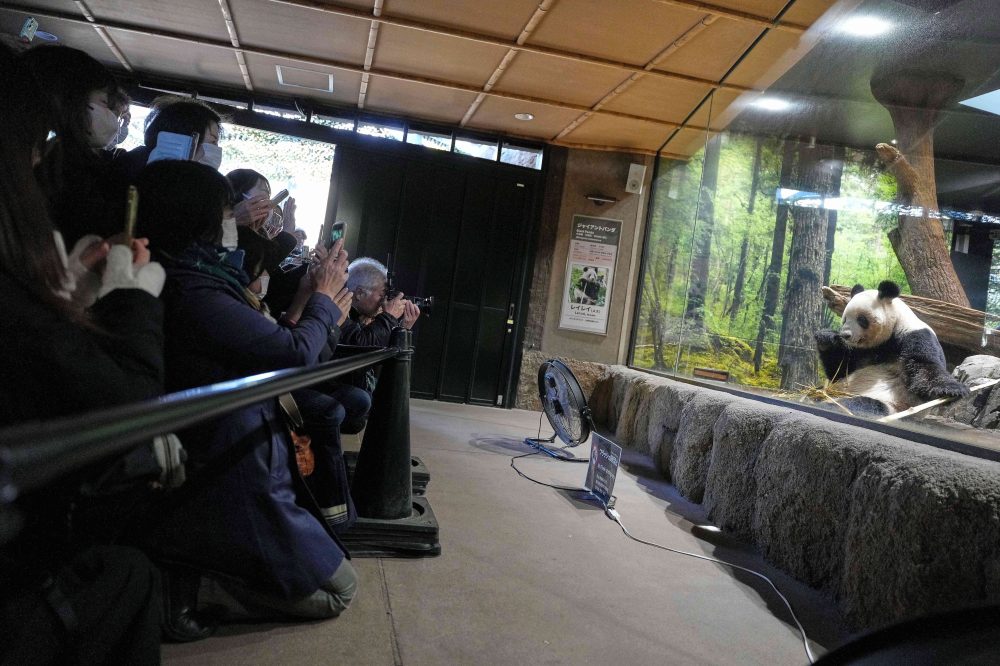Thousands flock to a Tokyo zoo to see the last 2 pandas in Japan before their return to China