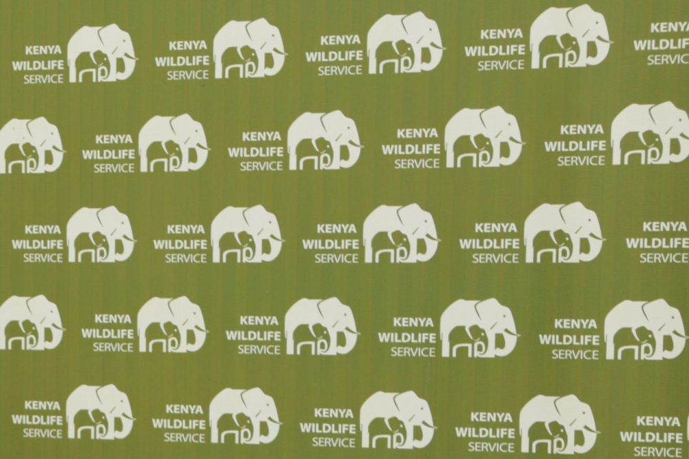 Kenyans protest after roaming elephants kill 4 people in a week