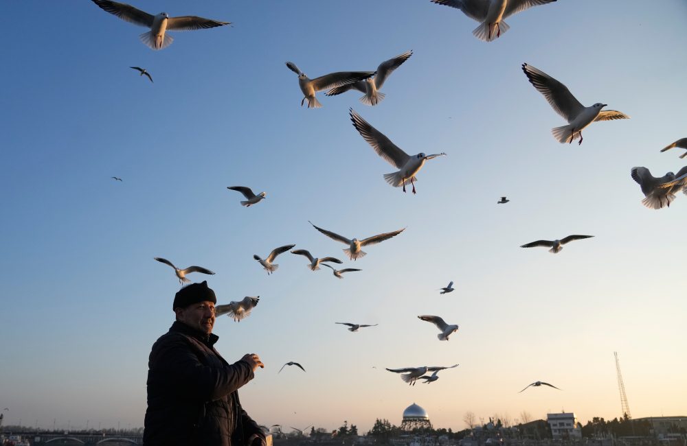 Photos of leisure and commerce along Iran’s Caspian Sea coast