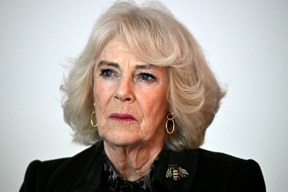 UK’s Queen Camilla recalls assault in 1960s as she campaigns against domestic violence