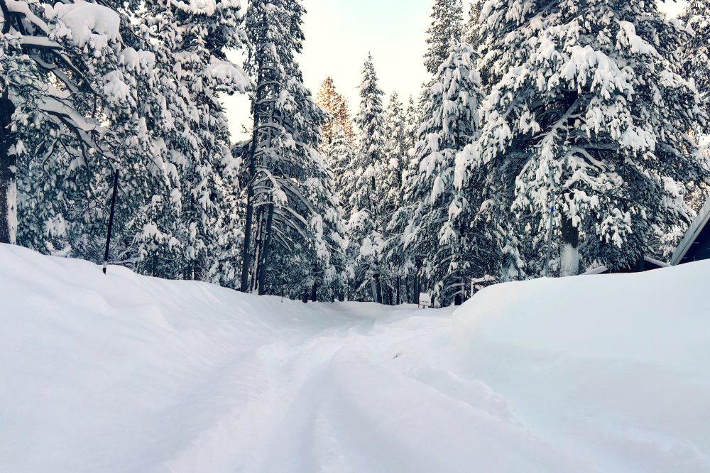 Backcountry ski trip hit by avalanche led by tour outfit offering mountain adventures globally