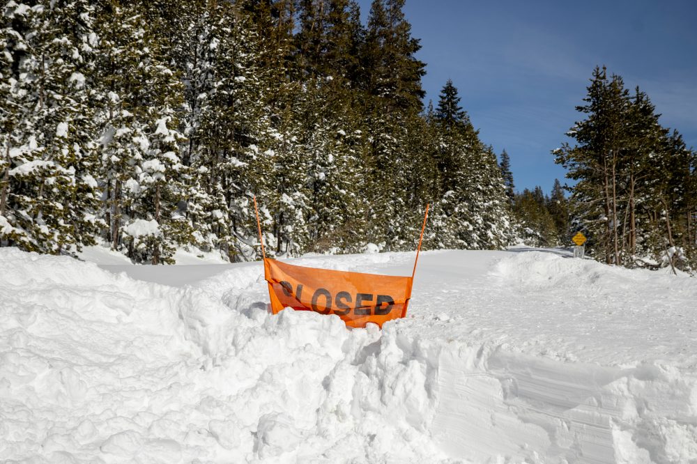 Ski guides in spotlight as investigators probe deadly California avalanche