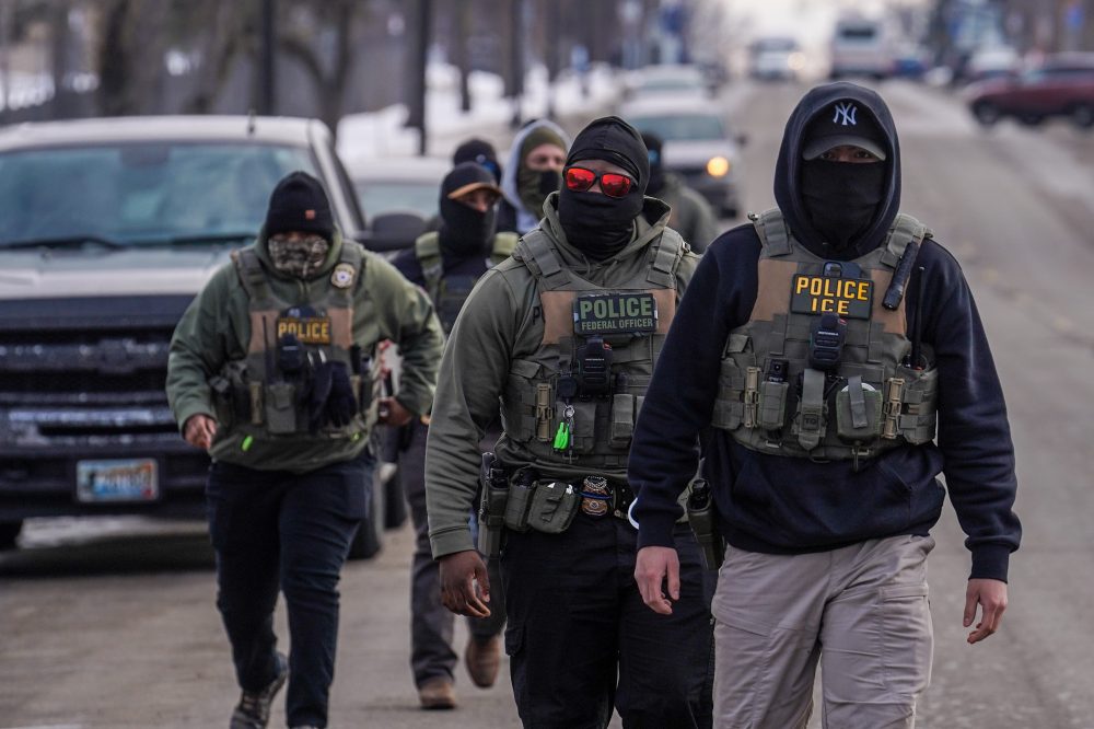 ICE officer training is ‘deficient’ and ‘broken,’ former agency lawyer tells congressional forum