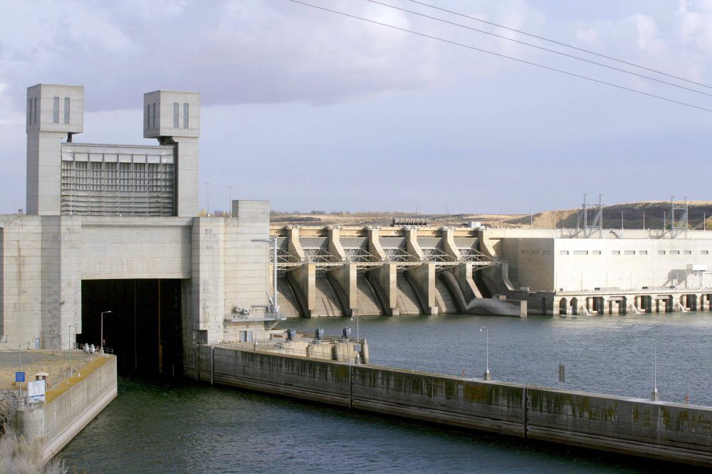 Judge orders changes to Columbia and Snake river dam operations to help ‘disappearing’ salmon