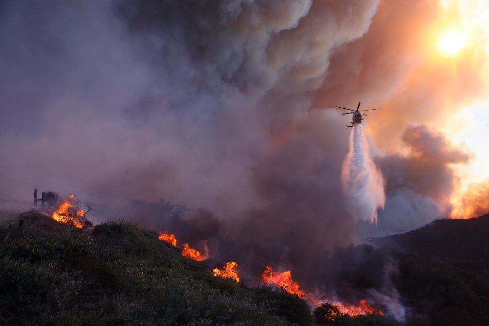 LA firefighter says he warned brush fire wasn’t out before massive blaze ignited