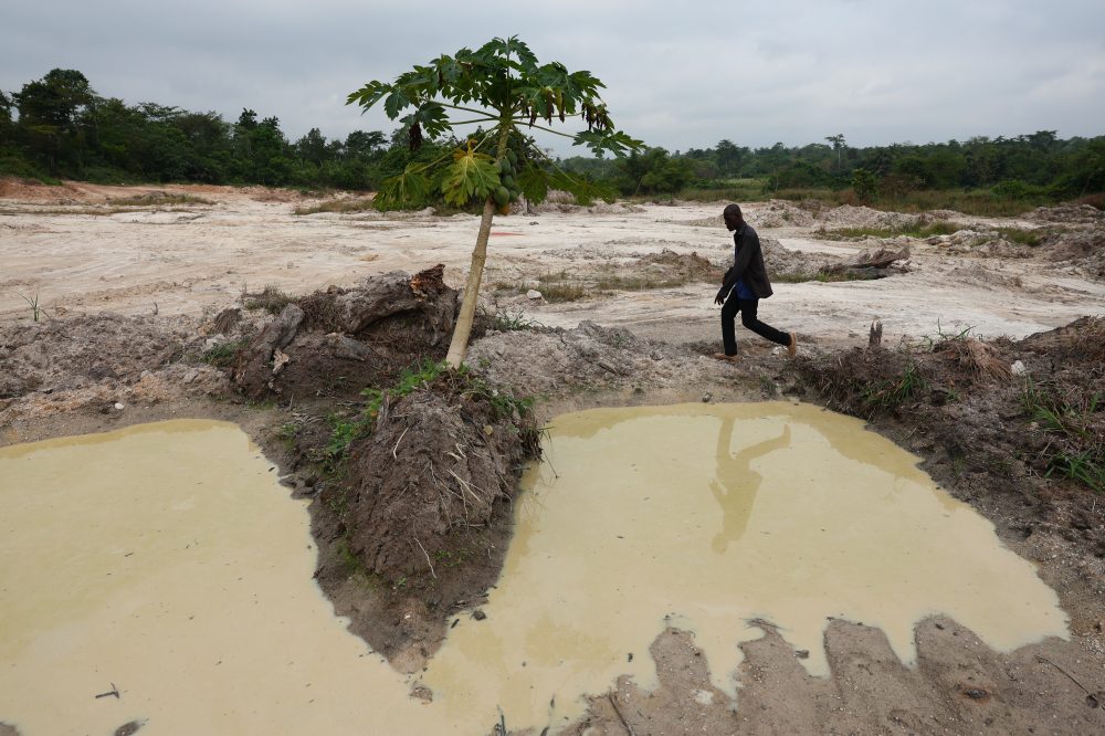 Cocoa beans rot and West African farmers seek other options after commodity crash