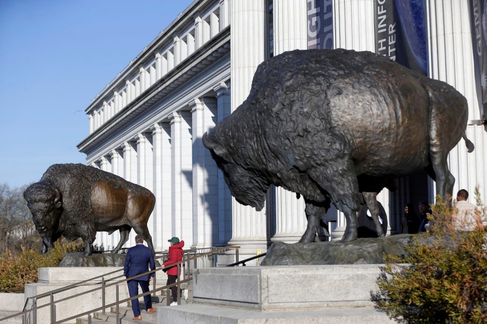America’s official mammal, the bison, gets a bronze tribute for the country’s 250th birthday