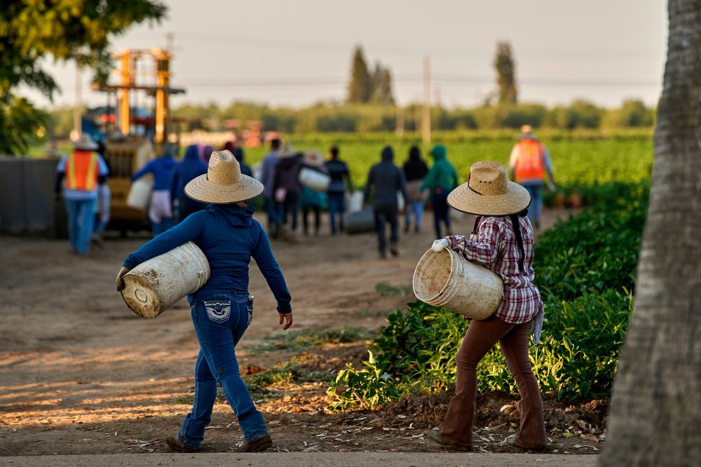 Women farmworkers who built their own fight against sexual assault cope with Chavez allegations