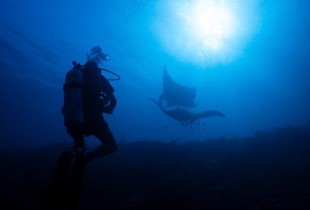 Ocean protections clash with mining pressure in Indonesia’s most diverse marine ecosystem