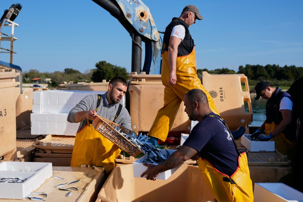Croatian fishermen feel the strain after Iran war ramps up fuel prices