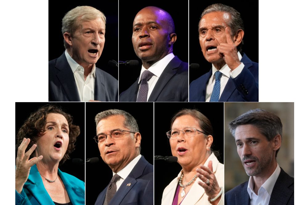 Voting for California governor begins in a month. Here are the candidates in the running