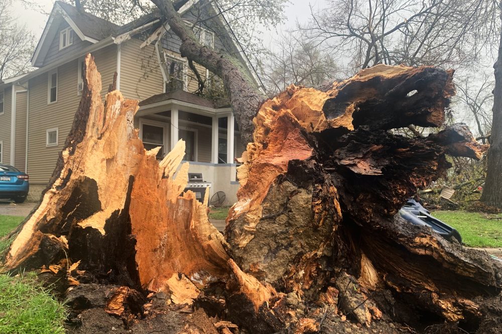 Thunderstorms rip across Michigan and damage 2 ice arenas, other structures