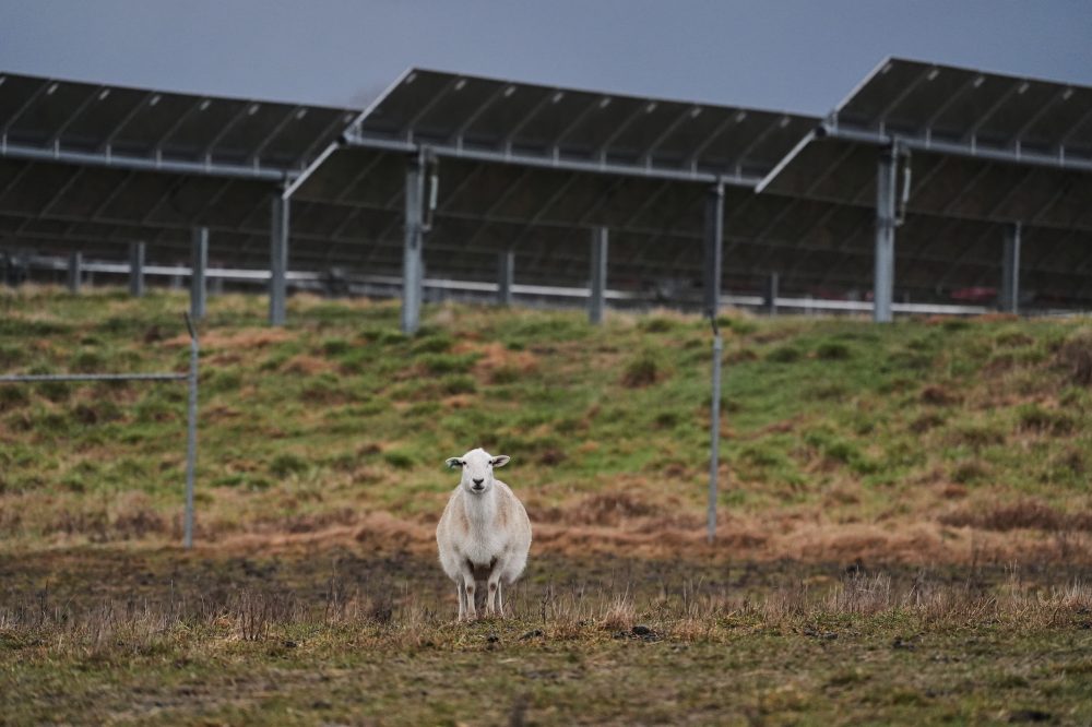 Some American farmers bet on solar. Then Trump changed the rules