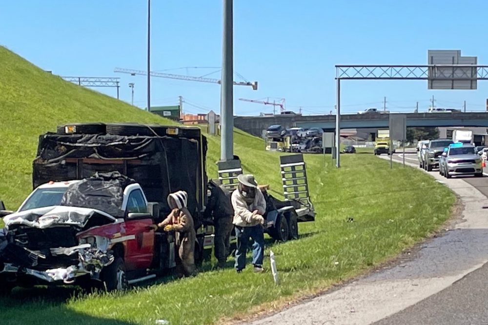 1 million bees make for bumper-to-buzzer traffic on a Tennessee highway ramp