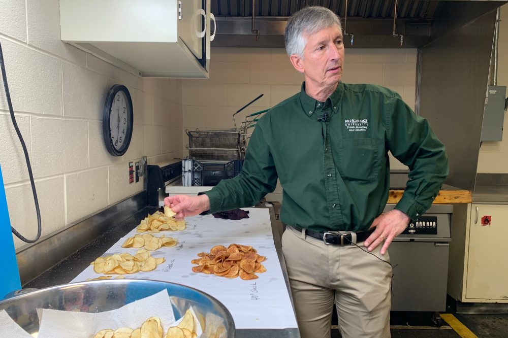 Researchers have spent decades breeding better potatoes for chips, and their work isn’t done