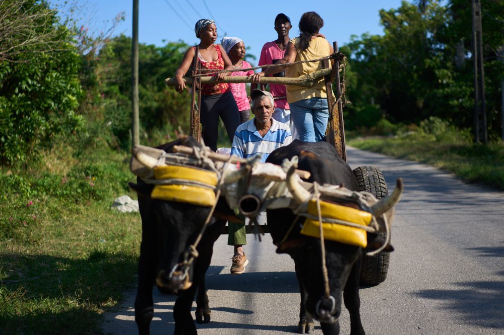 US energy blockade leaves Cuban farmers struggling to feed a nation