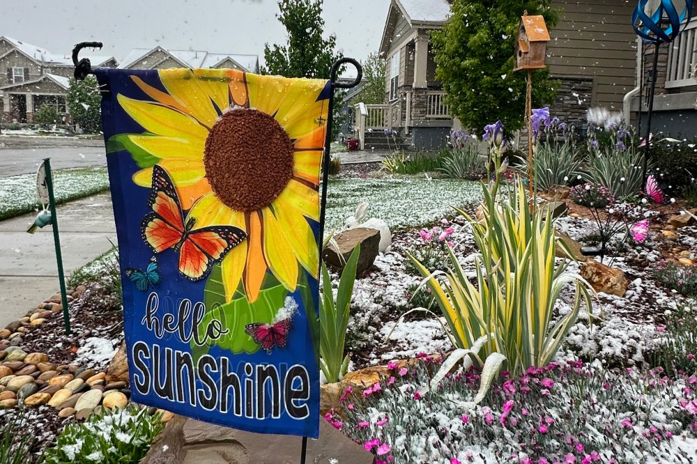 Spring plans meet snow in Denver as a late storm could be the season’s biggest