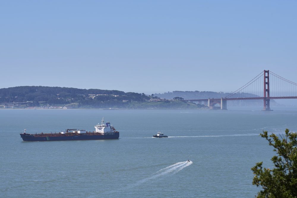 A new whale detection network launches in San Francisco Bay, alerting ships in real time