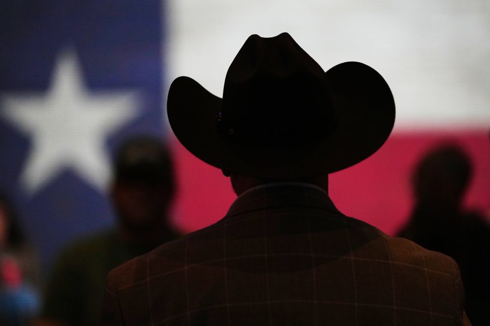 Democrats try to defeat candidate expressing antisemitic views in Texas runoff on Tuesday