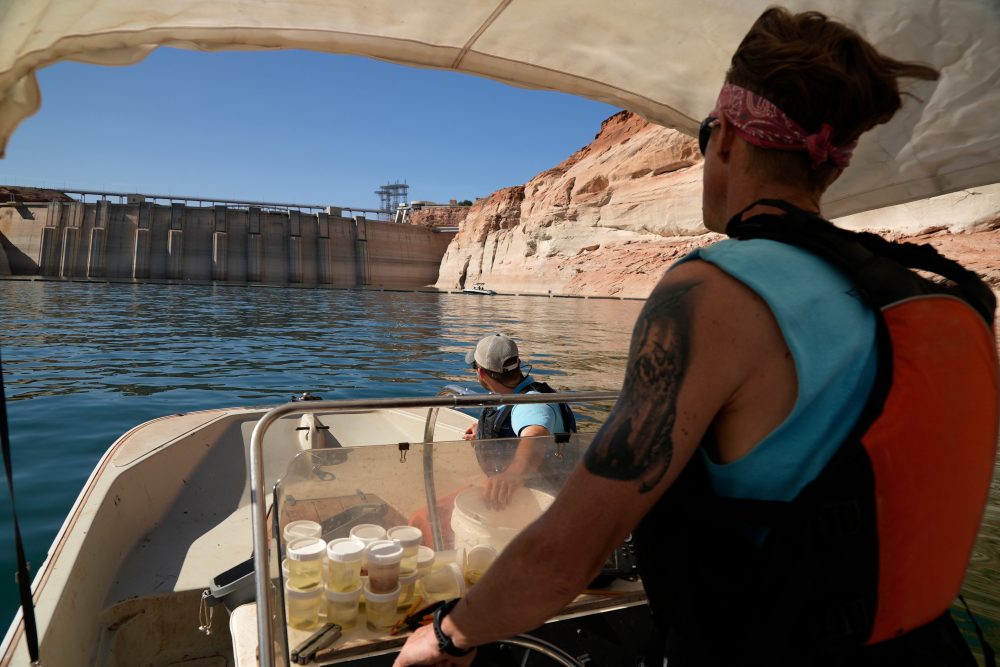 Releasing cool water protects fish in the Grand Canyon. That comes at cost to hydropower