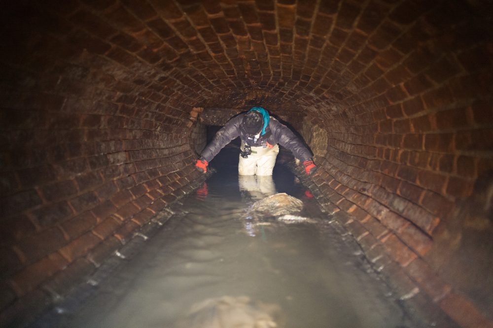 What it’s like to go inside New York City’s dank, dangerous, bug-filled sewers