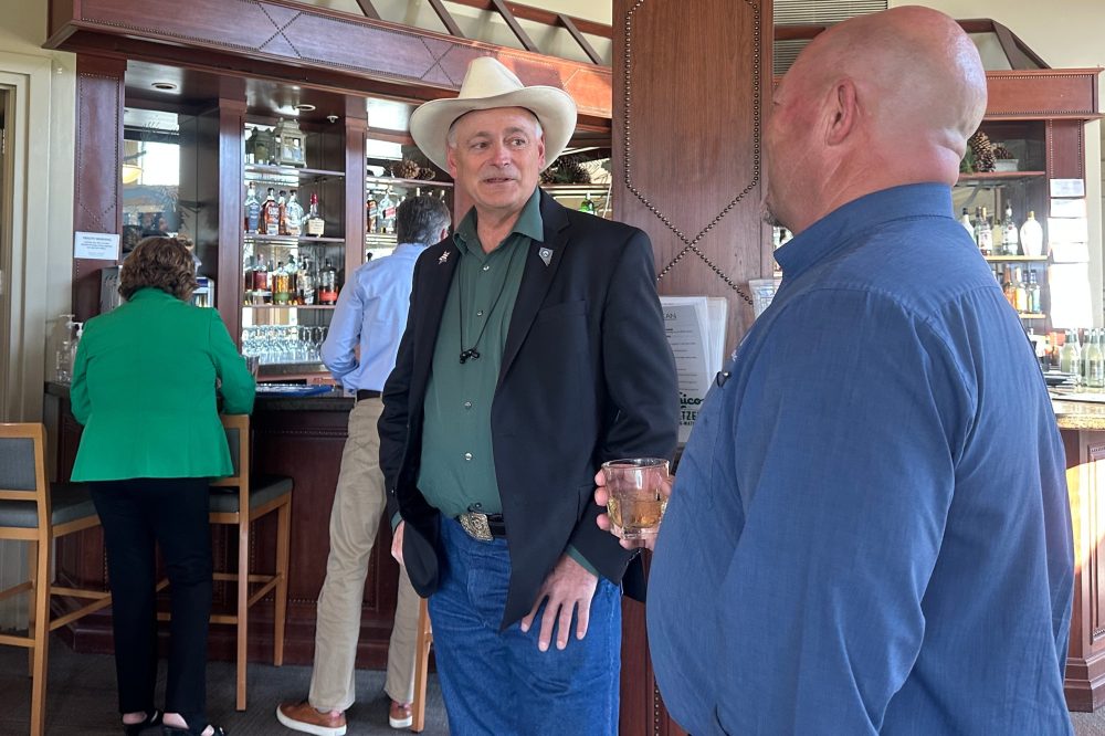 GOP primary for open US House seat and Democratic governors race highlight Nevada ballot