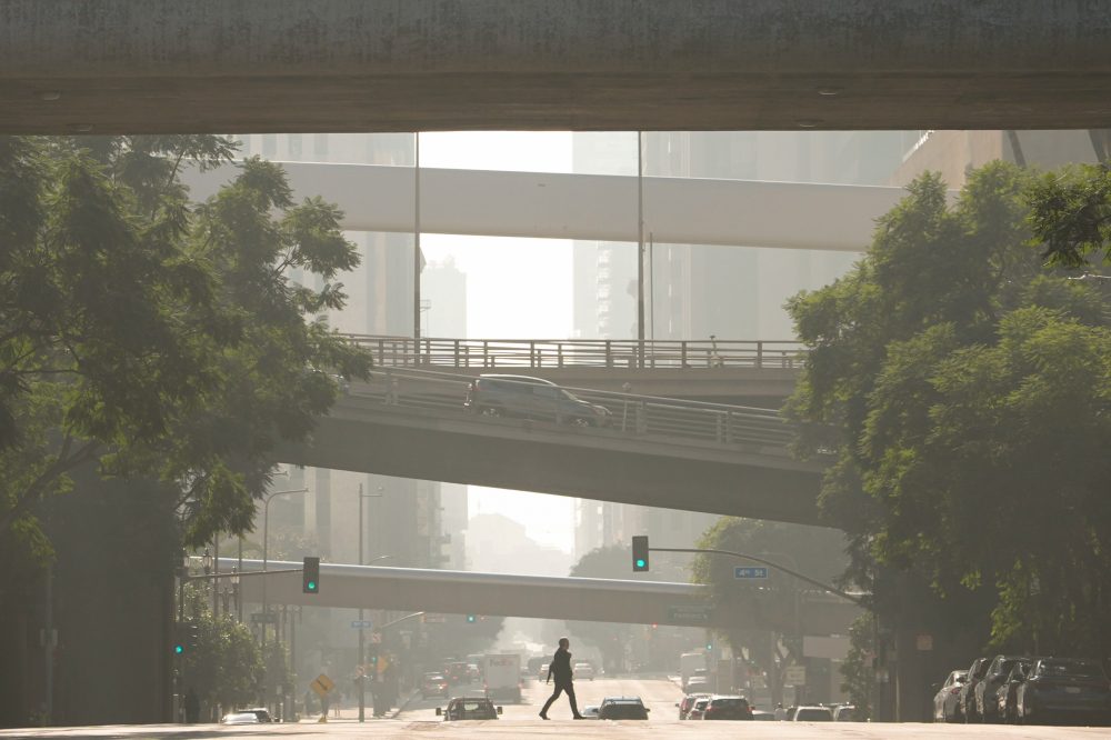 Appeals court rejects Trump EPA bid to abandon rule restricting deadly soot pollution