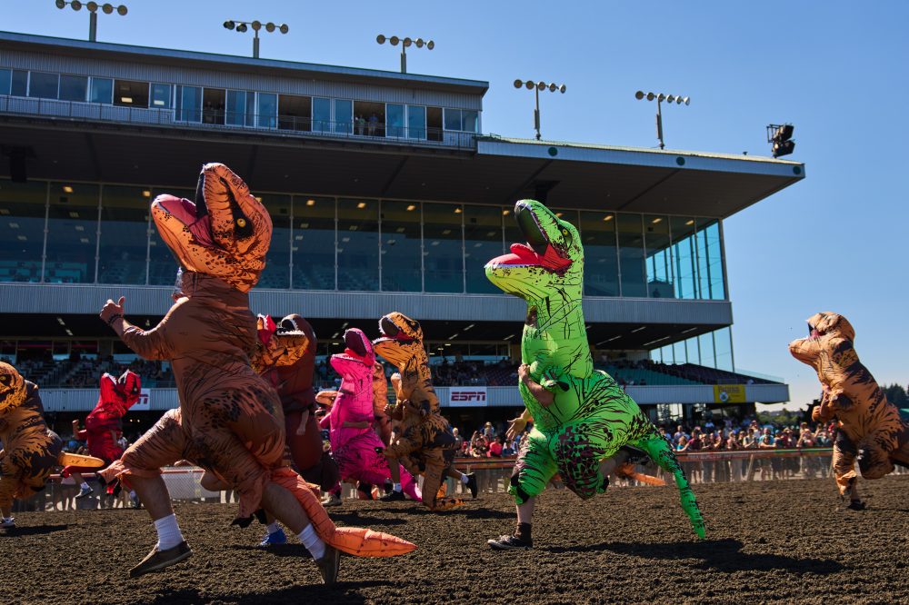 Inflatable dinosaurs race at Emerald Downs, in photos