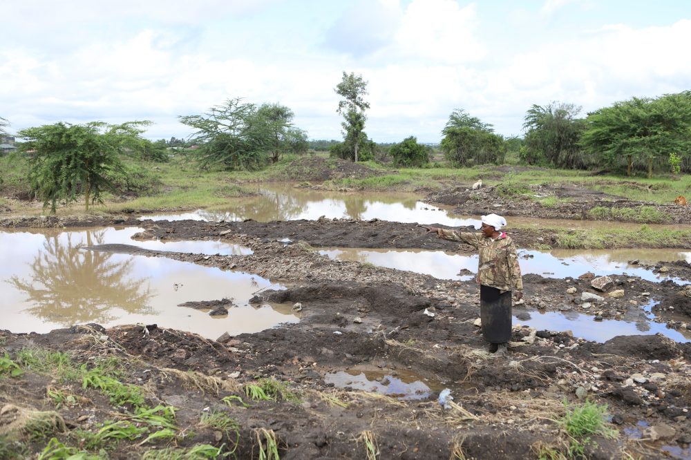 Conflicts and energy shocks threaten progress against global hunger, UN agency head warns