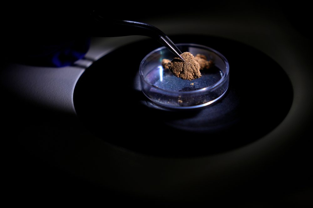 Brazil uses forensic science to trace gold’s origin and tackle illegal mining in the Amazon