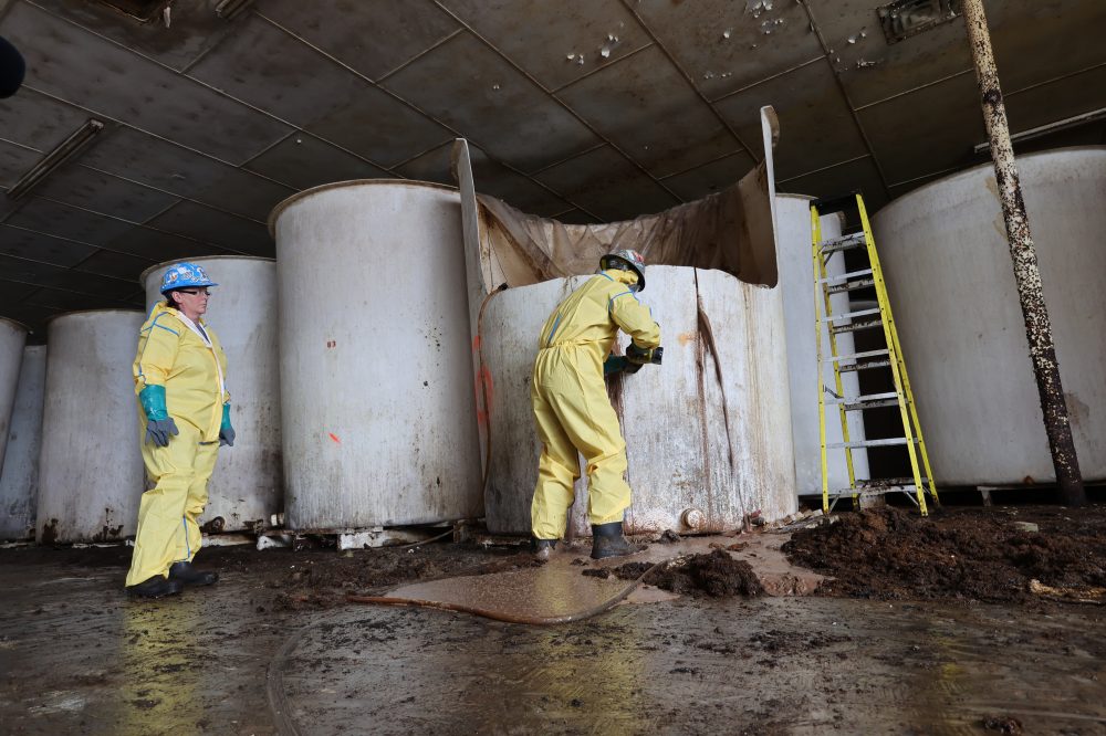 Rotten fish sauce that has long stunk up a small Canadian town is finally being removed
