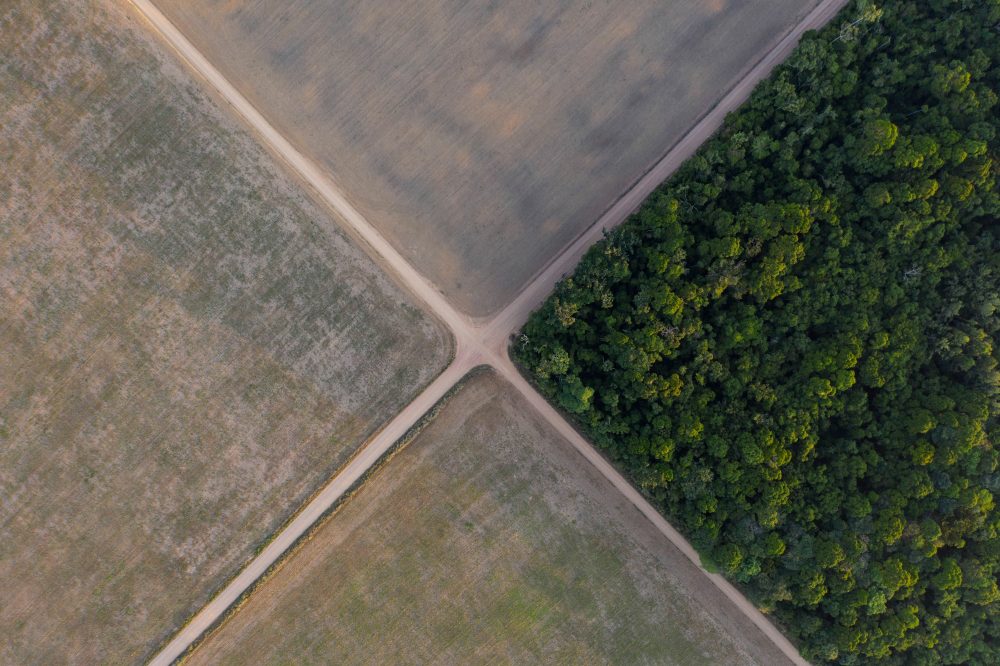 Brazil Supreme Court upholds laws that led to downfall of Amazon soy moratorium