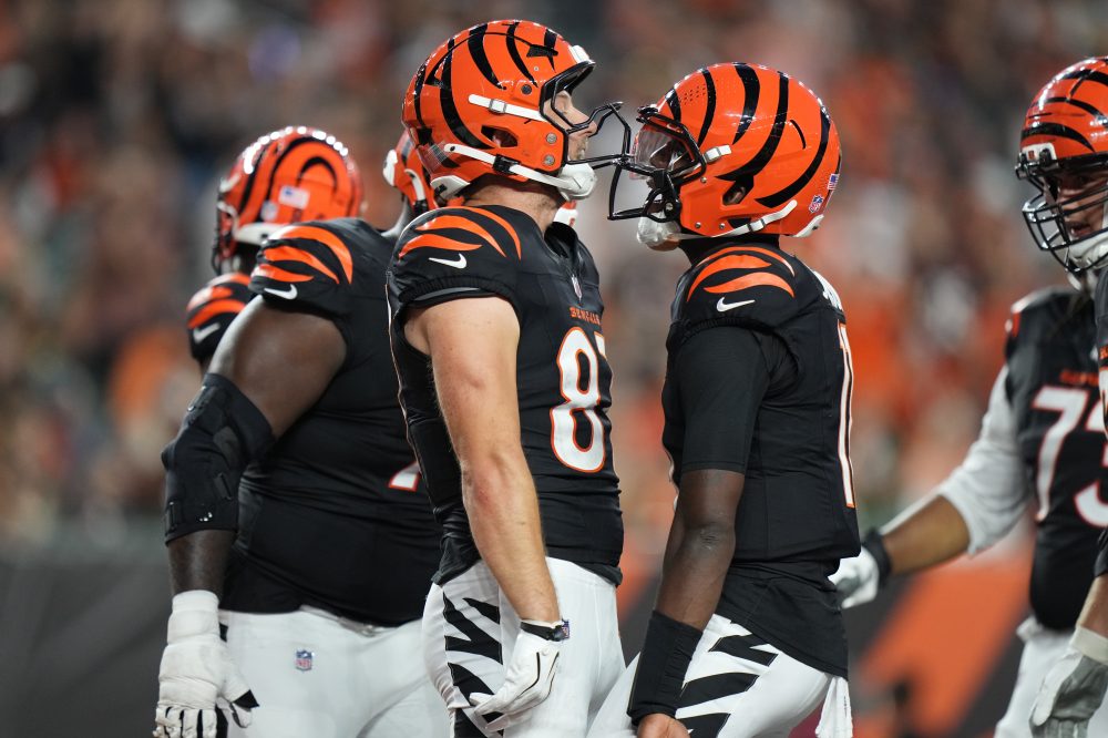 40-year-old journeyman QB Josh Johnson leads Bengals to 27-9 preseason victory over Bears