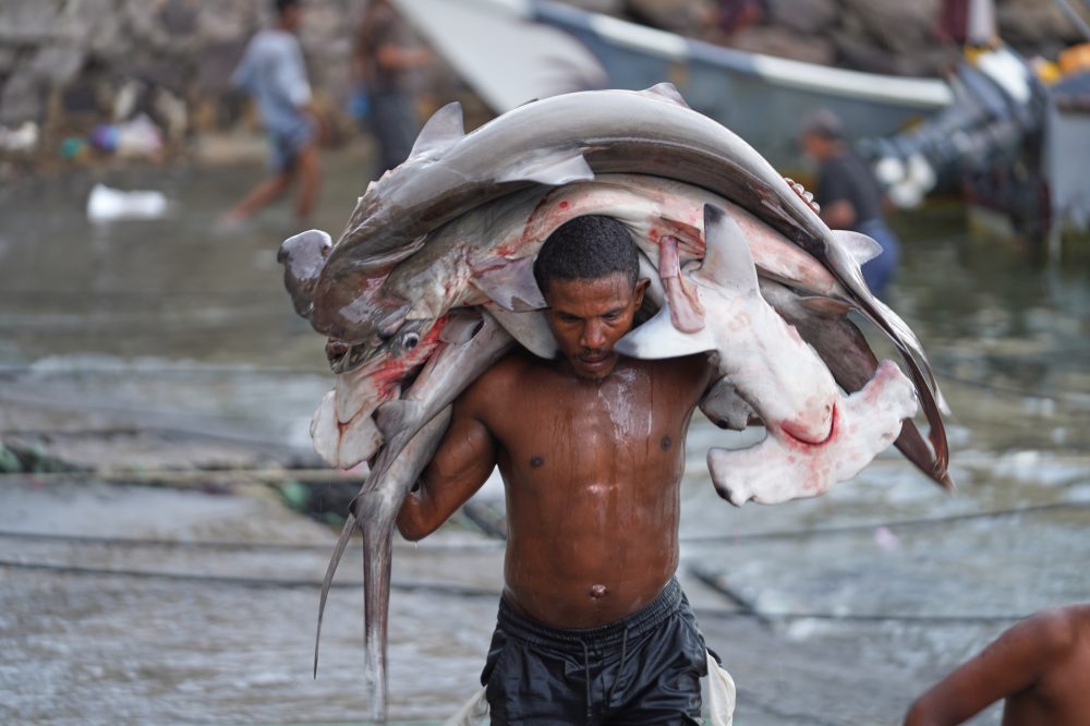 Saudi crown prince seeks Egypt’s backing as Houthi attacks rattle Red Sea oil routes